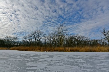 Buz gibi bir nehir boyunca kış yürüyüşü, nehir kıyılarını ve manzaraların kış masalı. Doğu Ukrayna, Samara Nehri.