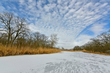 Buz gibi bir nehir boyunca kış yürüyüşü, nehir kıyılarını ve manzaraların kış masalı. Doğu Ukrayna, Samara Nehri.