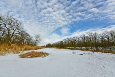 Buz gibi bir nehir boyunca kış yürüyüşü, nehir kıyılarını ve manzaraların kış masalı. Doğu Ukrayna, Samara Nehri.