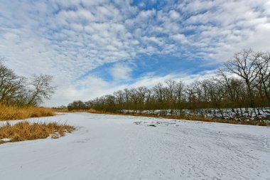 Buz gibi bir nehir boyunca kış yürüyüşü, nehir kıyılarını ve manzaraların kış masalı. Doğu Ukrayna, Samara Nehri.