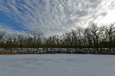Buz gibi bir nehir boyunca kış yürüyüşü, nehir kıyılarını ve manzaraların kış masalı. Doğu Ukrayna, Samara Nehri.