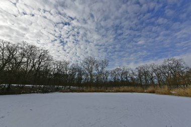 Buz gibi bir nehir boyunca kış yürüyüşü, nehir kıyılarını ve manzaraların kış masalı. Doğu Ukrayna, Samara Nehri.