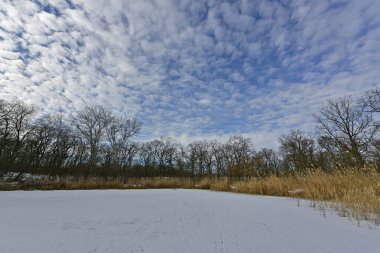Buz gibi bir nehir boyunca kış yürüyüşü, nehir kıyılarını ve manzaraların kış masalı. Doğu Ukrayna, Samara Nehri.