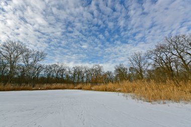Buz gibi bir nehir boyunca kış yürüyüşü, nehir kıyılarını ve manzaraların kış masalı. Doğu Ukrayna, Samara Nehri.