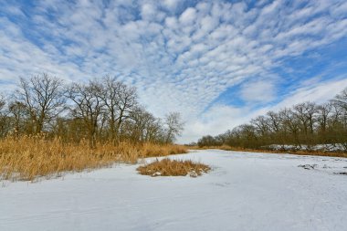 Buz gibi bir nehir boyunca kış yürüyüşü, nehir kıyılarını ve manzaraların kış masalı. Doğu Ukrayna, Samara Nehri.