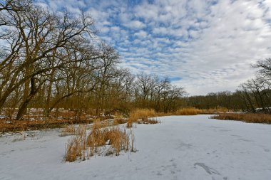 Buz gibi bir nehir boyunca kış yürüyüşü, nehir kıyılarını ve manzaraların kış masalı. Doğu Ukrayna, Samara Nehri.