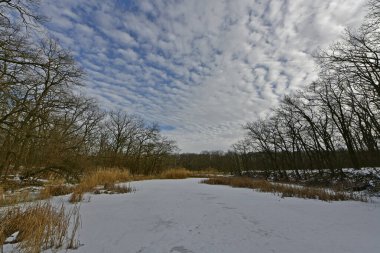 Buz gibi bir nehir boyunca kış yürüyüşü, nehir kıyılarını ve manzaraların kış masalı. Doğu Ukrayna, Samara Nehri.