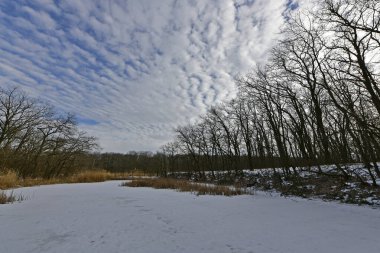 Buz gibi bir nehir boyunca kış yürüyüşü, nehir kıyılarını ve manzaraların kış masalı. Doğu Ukrayna, Samara Nehri.
