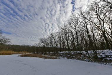 Buz gibi bir nehir boyunca kış yürüyüşü, nehir kıyılarını ve manzaraların kış masalı. Doğu Ukrayna, Samara Nehri.