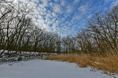 Buz gibi bir nehir boyunca kış yürüyüşü, nehir kıyılarını ve manzaraların kış masalı. Doğu Ukrayna, Samara Nehri.