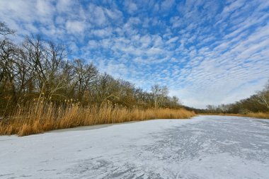 Buz gibi bir nehir boyunca kış yürüyüşü, nehir kıyılarını ve manzaraların kış masalı. Doğu Ukrayna, Samara Nehri.
