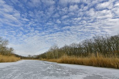 Buz gibi bir nehir boyunca kış yürüyüşü, nehir kıyılarını ve manzaraların kış masalı. Doğu Ukrayna, Samara Nehri.