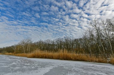 Buz gibi bir nehir boyunca kış yürüyüşü, nehir kıyılarını ve manzaraların kış masalı. Doğu Ukrayna, Samara Nehri.