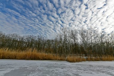 Buz gibi bir nehir boyunca kış yürüyüşü, nehir kıyılarını ve manzaraların kış masalı. Doğu Ukrayna, Samara Nehri.