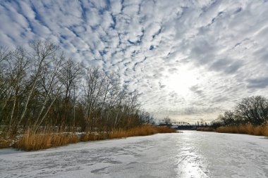 Buz gibi bir nehir boyunca kış yürüyüşü, nehir kıyılarını ve manzaraların kış masalı. Doğu Ukrayna, Samara Nehri.