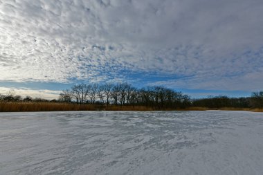 Buz gibi bir nehir boyunca kış yürüyüşü, nehir kıyılarını ve manzaraların kış masalı. Doğu Ukrayna, Samara Nehri.