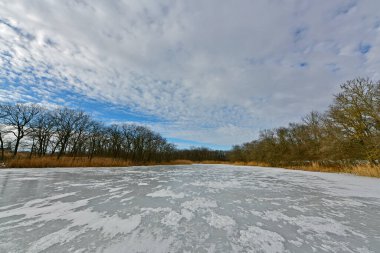 Buz gibi bir nehir boyunca kış yürüyüşü, nehir kıyılarını ve manzaraların kış masalı. Doğu Ukrayna, Samara Nehri.
