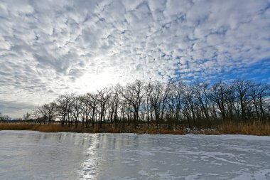 Buz gibi bir nehir boyunca kış yürüyüşü, nehir kıyılarını ve manzaraların kış masalı. Doğu Ukrayna, Samara Nehri.