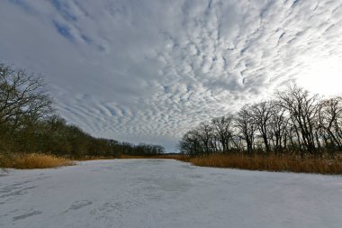 Buz gibi bir nehir boyunca kış yürüyüşü, nehir kıyılarını ve manzaraların kış masalı. Doğu Ukrayna, Samara Nehri.