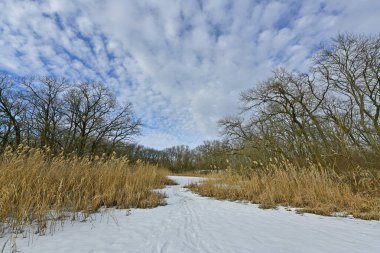 Buz gibi bir nehir boyunca kış yürüyüşü, nehir kıyılarını ve manzaraların kış masalı. Doğu Ukrayna, Samara Nehri.
