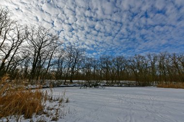 Buz gibi bir nehir boyunca kış yürüyüşü, nehir kıyılarını ve manzaraların kış masalı. Doğu Ukrayna, Samara Nehri.