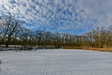 Buz gibi bir nehir boyunca kış yürüyüşü, nehir kıyılarını ve manzaraların kış masalı. Doğu Ukrayna, Samara Nehri.
