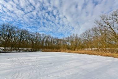 Buz gibi bir nehir boyunca kış yürüyüşü, nehir kıyılarını ve manzaraların kış masalı. Doğu Ukrayna, Samara Nehri.
