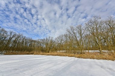 Buz gibi bir nehir boyunca kış yürüyüşü, nehir kıyılarını ve manzaraların kış masalı. Doğu Ukrayna, Samara Nehri.