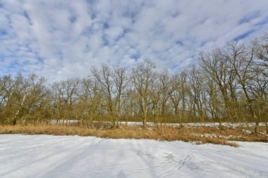 Buz gibi bir nehir boyunca kış yürüyüşü, nehir kıyılarını ve manzaraların kış masalı. Doğu Ukrayna, Samara Nehri.