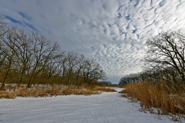 Buz gibi bir nehir boyunca kış yürüyüşü, nehir kıyılarını ve manzaraların kış masalı. Doğu Ukrayna, Samara Nehri.