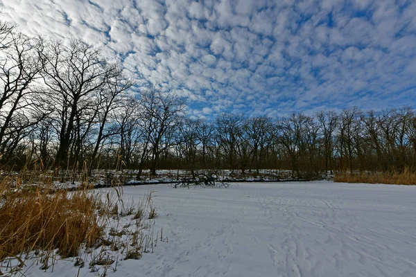 Buz gibi bir nehir boyunca kış yürüyüşü, nehir kıyılarını ve manzaraların kış masalı. Doğu Ukrayna, Samara Nehri.