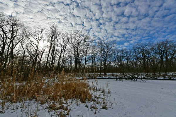 Buz gibi bir nehir boyunca kış yürüyüşü, nehir kıyılarını ve manzaraların kış masalı. Doğu Ukrayna, Samara Nehri.