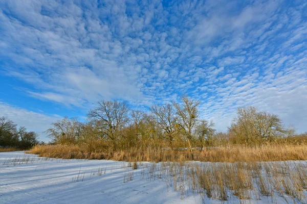 Buz gibi bir nehir boyunca kış yürüyüşü, nehir kıyılarını ve manzaraların kış masalı. Doğu Ukrayna, Samara Nehri.