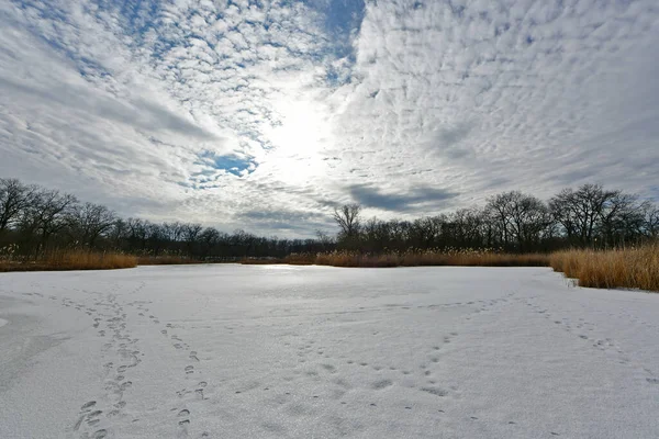 Buz gibi bir nehir boyunca kış yürüyüşü, nehir kıyılarını ve manzaraların kış masalı. Doğu Ukrayna, Samara Nehri.