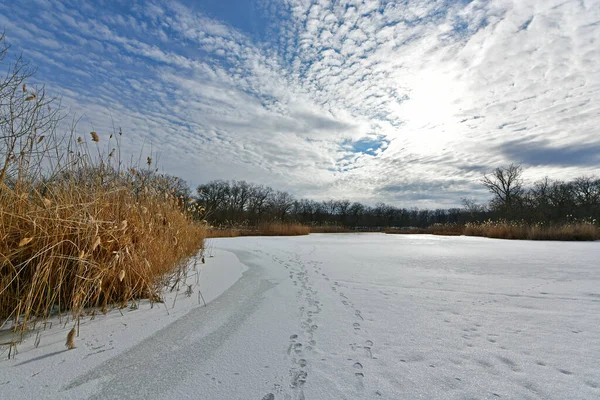 Buz gibi bir nehir boyunca kış yürüyüşü, nehir kıyılarını ve manzaraların kış masalı. Doğu Ukrayna, Samara Nehri.