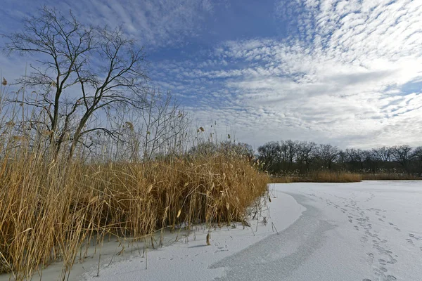 Buz gibi bir nehir boyunca kış yürüyüşü, nehir kıyılarını ve manzaraların kış masalı. Doğu Ukrayna, Samara Nehri.
