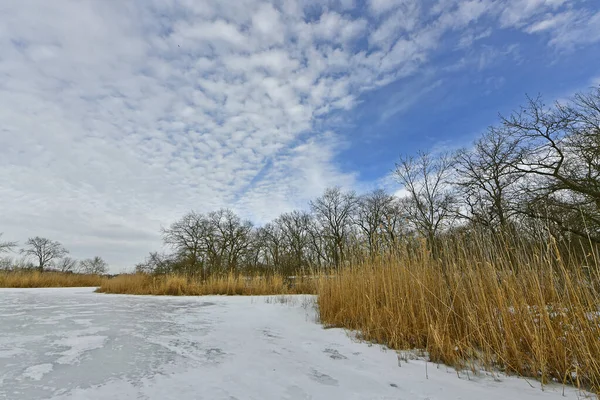 Buz gibi bir nehir boyunca kış yürüyüşü, nehir kıyılarını ve manzaraların kış masalı. Doğu Ukrayna, Samara Nehri.