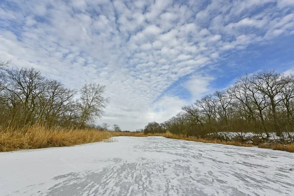 Buz gibi bir nehir boyunca kış yürüyüşü, nehir kıyılarını ve manzaraların kış masalı. Doğu Ukrayna, Samara Nehri.