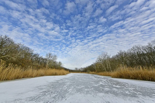 Buz gibi bir nehir boyunca kış yürüyüşü, nehir kıyılarını ve manzaraların kış masalı. Doğu Ukrayna, Samara Nehri.
