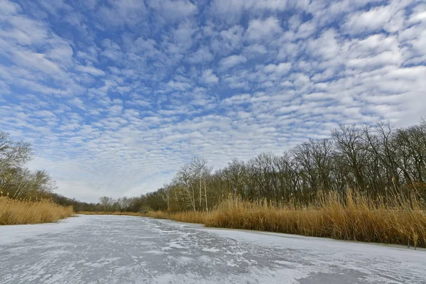 Buz gibi bir nehir boyunca kış yürüyüşü, nehir kıyılarını ve manzaraların kış masalı. Doğu Ukrayna, Samara Nehri.
