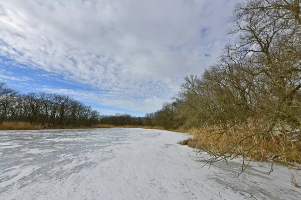 Buz gibi bir nehir boyunca kış yürüyüşü, nehir kıyılarını ve manzaraların kış masalı. Doğu Ukrayna, Samara Nehri.