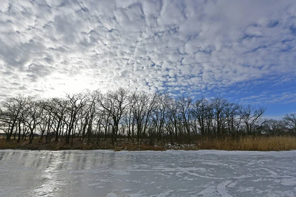 Buz gibi bir nehir boyunca kış yürüyüşü, nehir kıyılarını ve manzaraların kış masalı. Doğu Ukrayna, Samara Nehri.