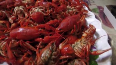 Lezzetli, güzel ve lezzetli bir yemek. Dereotu, soğan, sarımsak, tüm baharat, defne yaprağı ve dereotlu tuzlu bir salamurada haşlanmış kerevit..