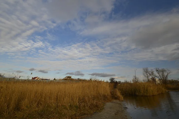 Novomoskovsk rivière Samara . — Photo