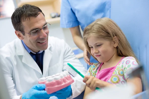 Dentista ensina menina corretamente escovando no modelo de dentes — Fotografia de Stock