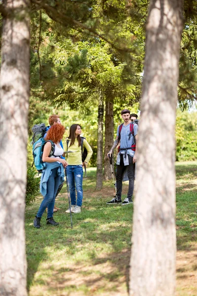Gruppe Jugendlicher wandert im Wald — Stockfoto