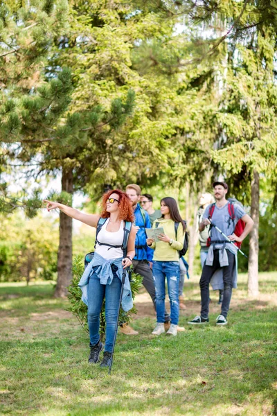 Grupo de caminhantes obter segurar algo interessante — Fotografia de Stock