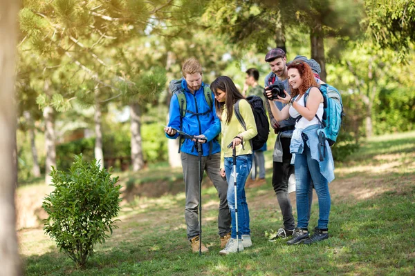 Brief stop in forest — Stock Photo, Image