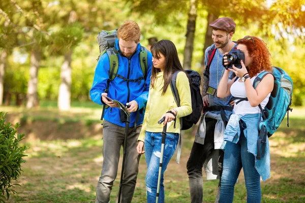 Girl from hikers group photographing until others looks at map — Stock Photo, Image