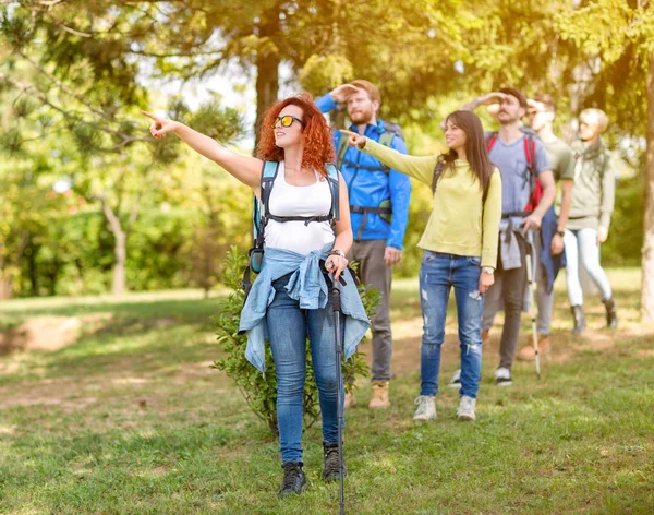 Group of walkers in forest pointing something — Stock Photo, Image